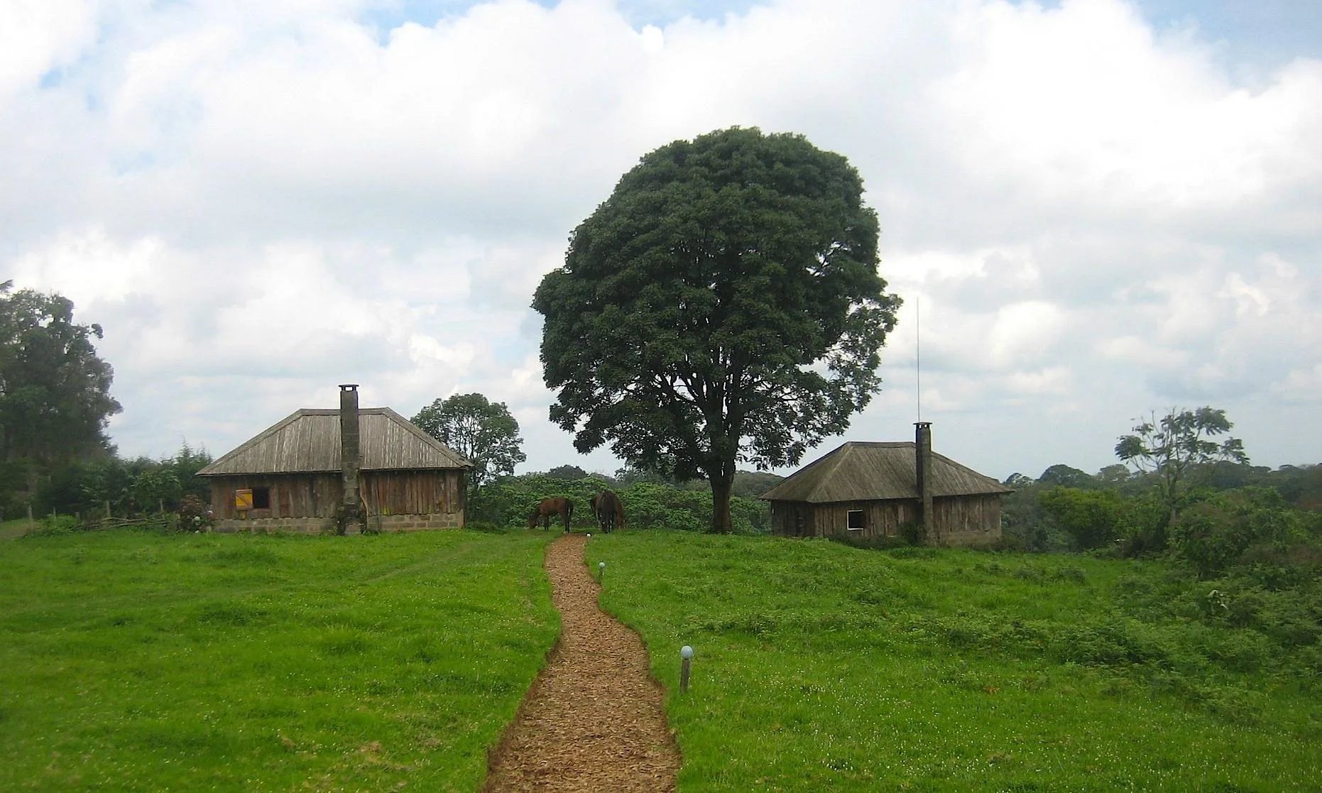 Castle Forest Lodge